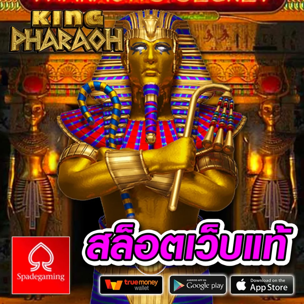 kpn 68 แตกบ่อย